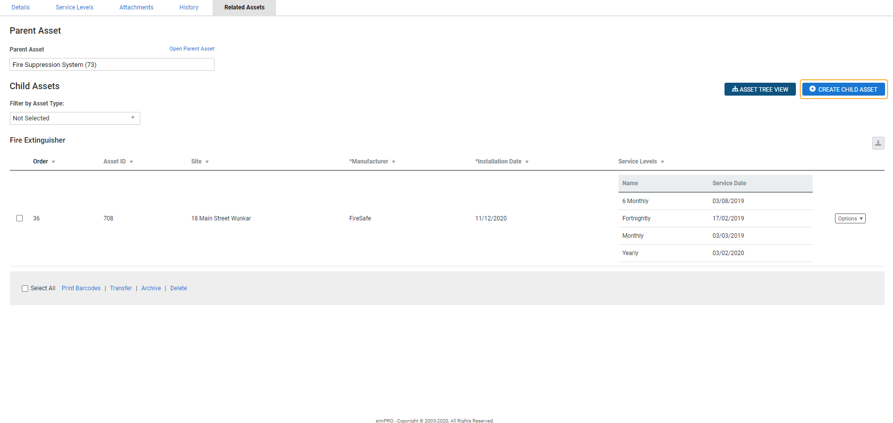 A screenshot of the Related Assets tab.