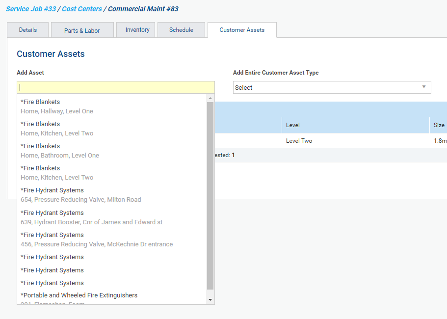 A screenshot of the Customer Assets tab in a job.